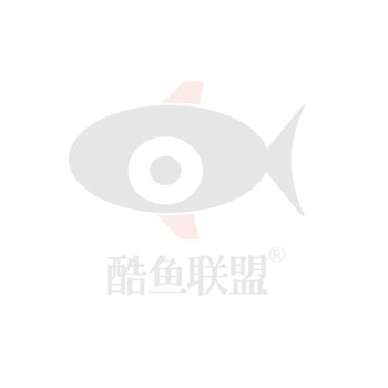 【招聘】-海南酷鱼联盟网络科技有限公司
